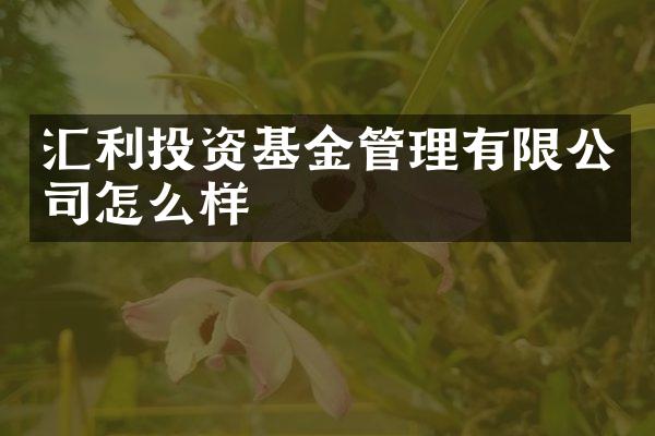 汇利投资基金管理有限公司怎么样