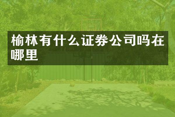 榆林有什么证券公司吗在哪里