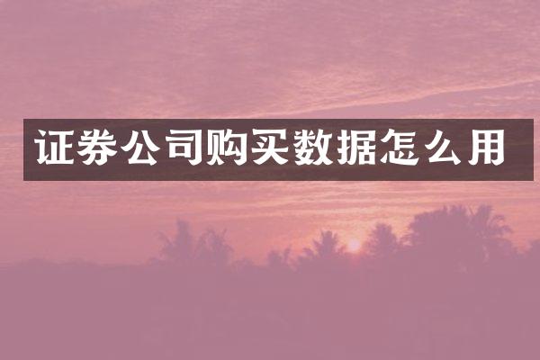 证券公司购买数据怎么用