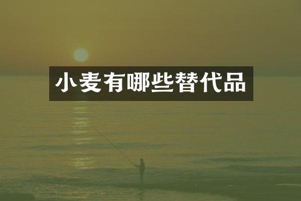 小麦有哪些替代品