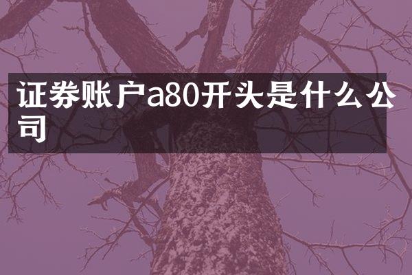 证券账户a80开头是什么公司