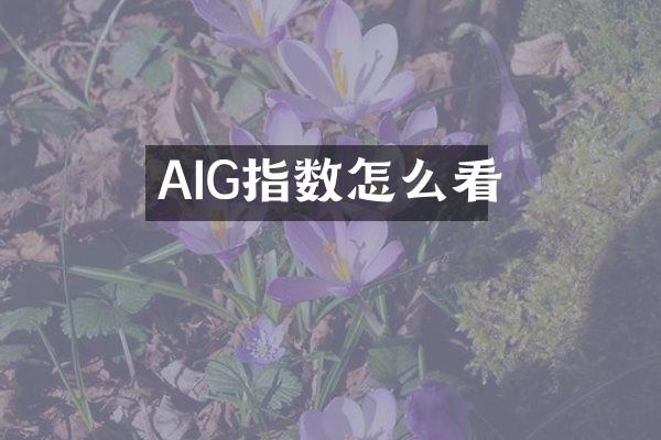 AIG指数怎么看