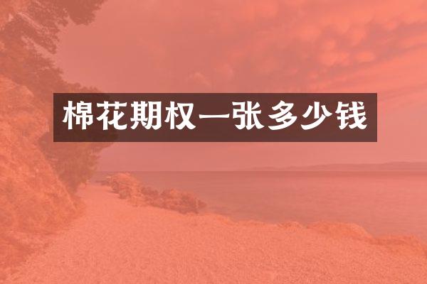 棉花期权一张多少钱