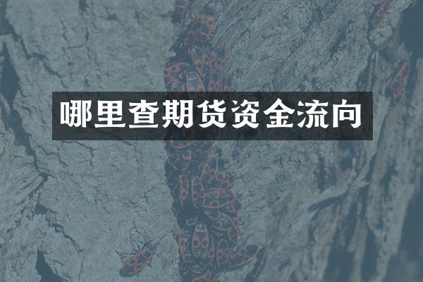 哪里查期货资金流向