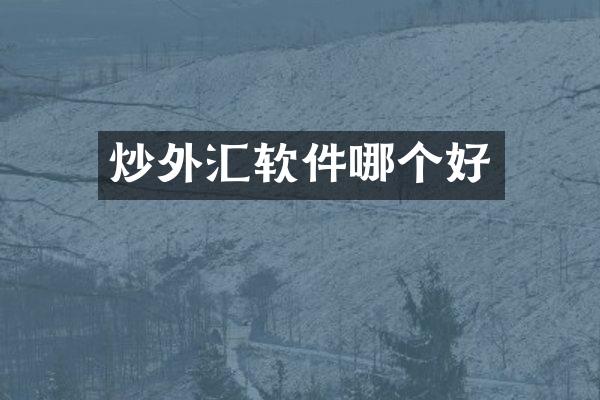 炒外汇软件哪个好