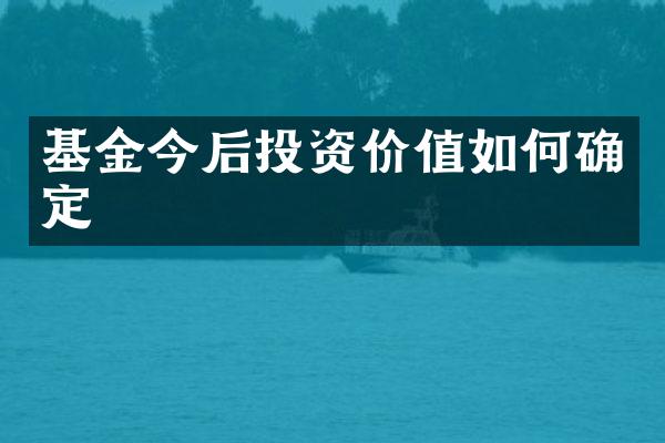 基金今后投资价值如何确定