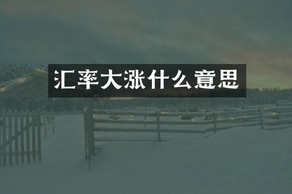 汇率大涨什么意思