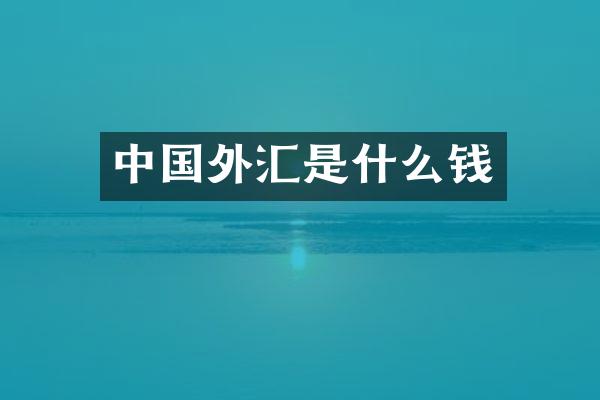 中国外汇是什么钱