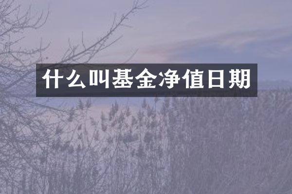 什么叫基金净值日期