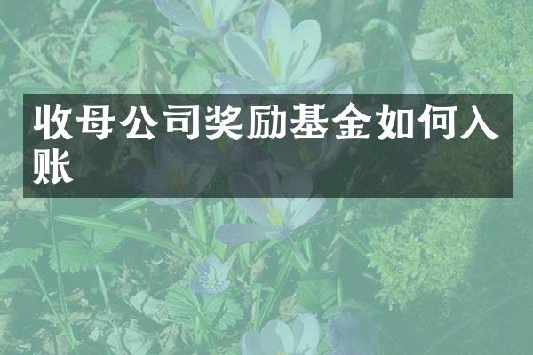 收母公司奖励基金如何入账