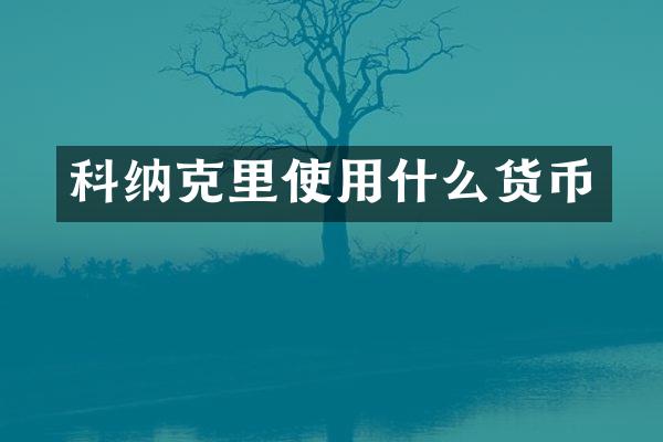 科纳克里使用什么货币