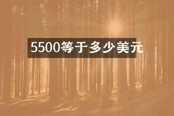 5500等于多少美元