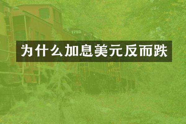 为什么加息美元反而跌