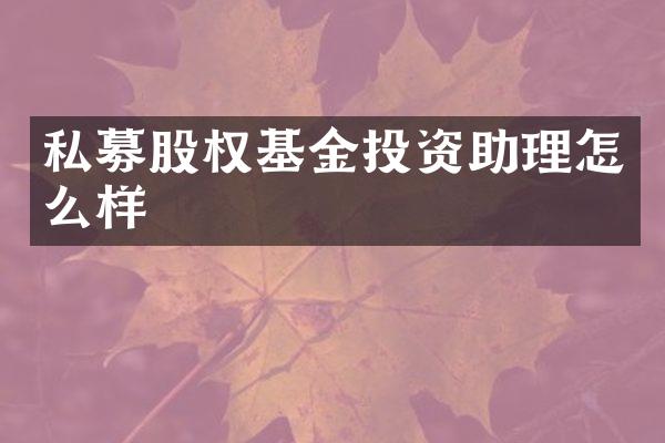私募股权基金投资助理怎么样