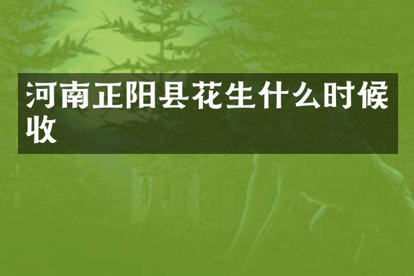 河南正阳县花生什么时候收