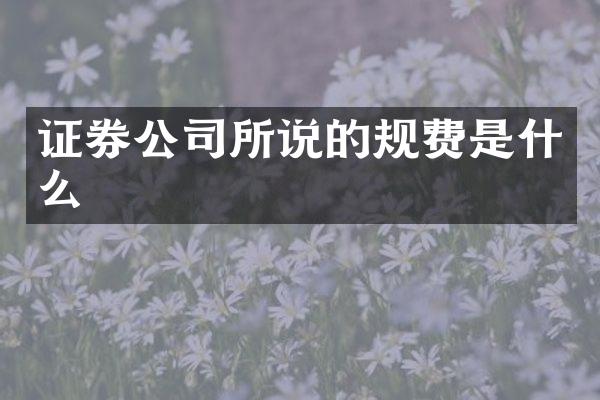 证券公司所说的规费是什么