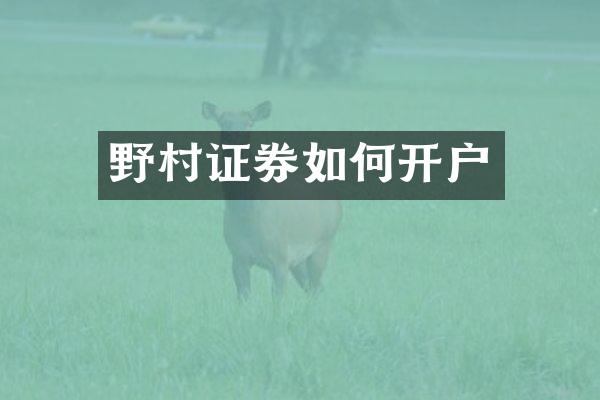 野村证券如何开户