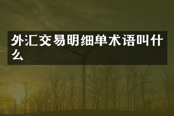 外汇交易明细单术语叫什么