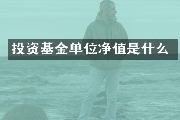 投资基金单位净值是什么