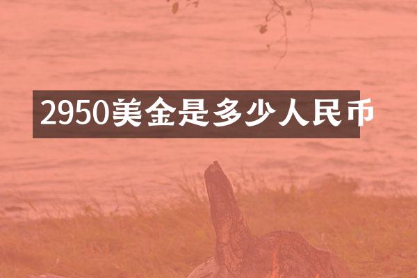 2950美金是多少人民币