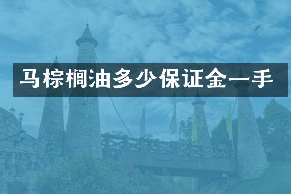 马棕榈油多少保证金一手