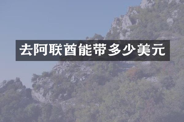 去阿联酋能带多少美元