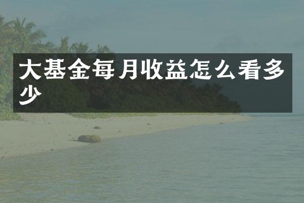 大基金每月收益怎么看多少