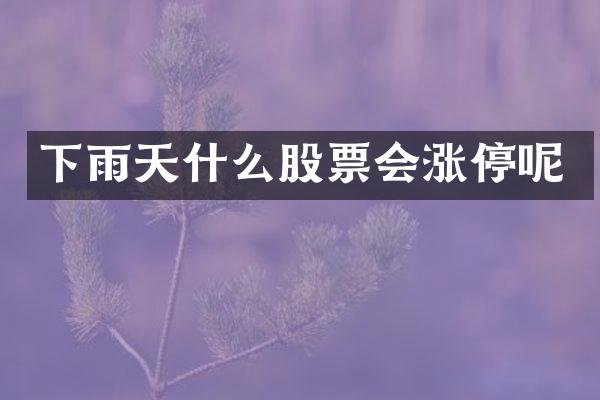 下雨天什么股票会涨停呢