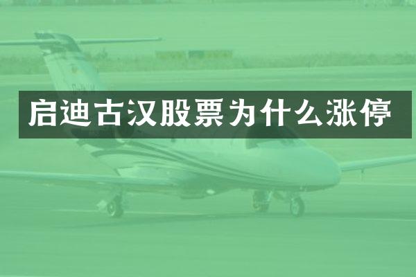 启迪古汉股票为什么涨停
