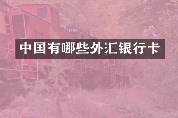 中国有哪些外汇银行卡