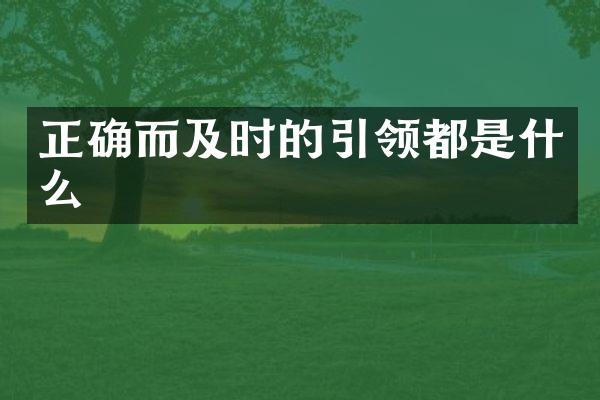 正确而及时的引领都是什么