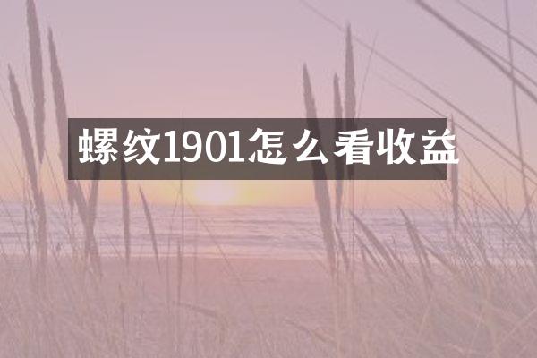 螺纹1901怎么看收益