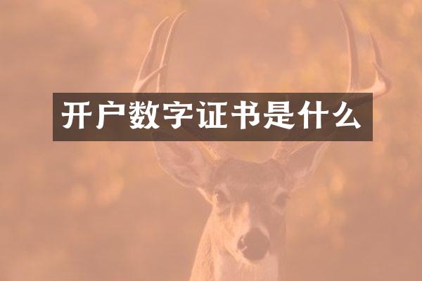 开户数字证书是什么