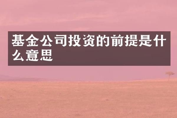 基金公司投资的前提是什么意思