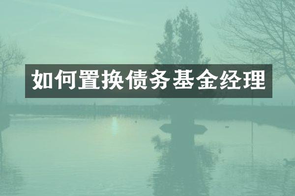 如何置换债务基金经理