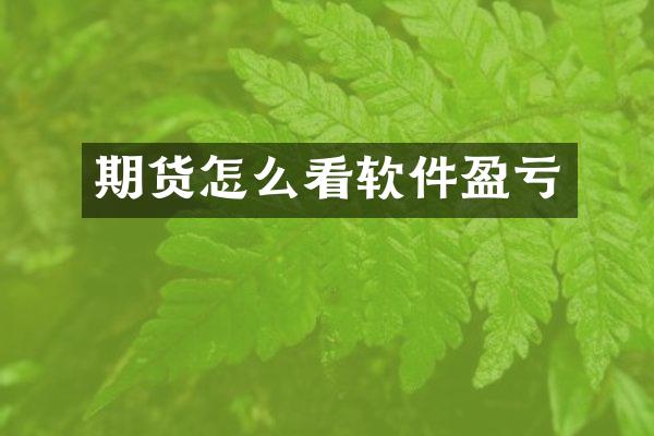 期货怎么看软件盈亏