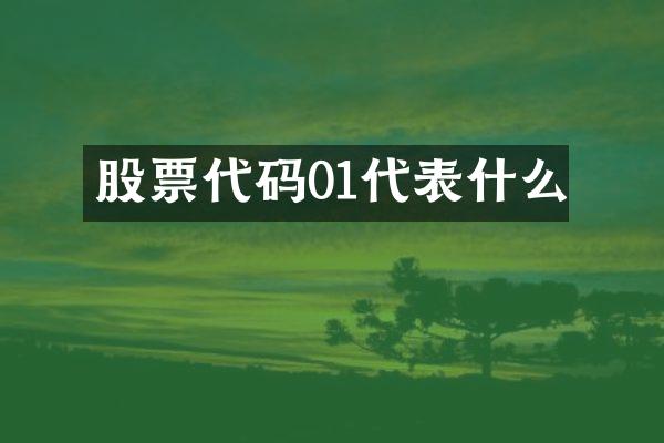 股票代码01代表什么