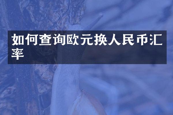 如何查询欧元换人民币汇率