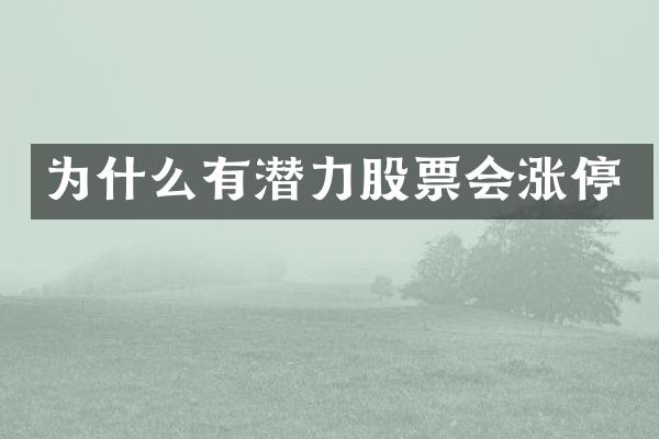 为什么有潜力股票会涨停