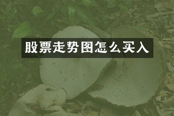 股票走势图怎么买入