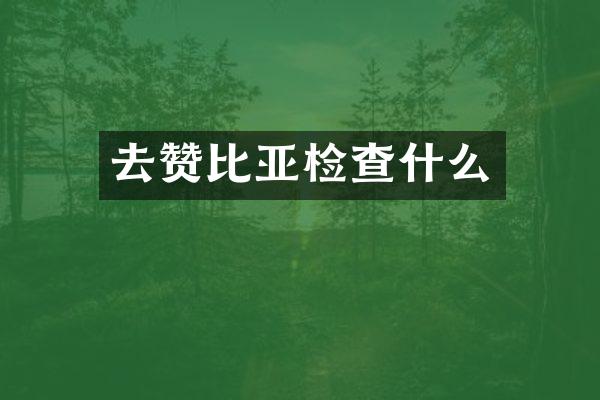 去赞比亚检查什么