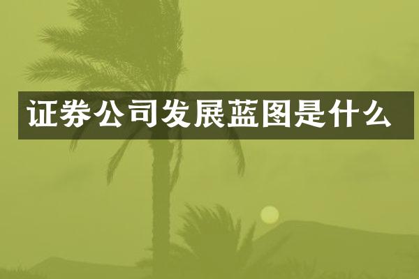 证券公司发展蓝图是什么