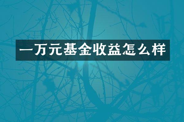 一万元基金收益怎么样