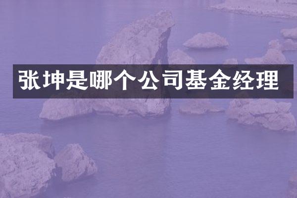 张坤是哪个公司基金经理