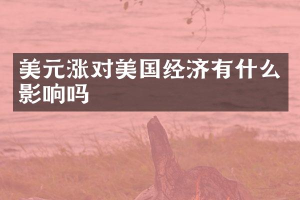 美元涨对美国经济有什么影响吗