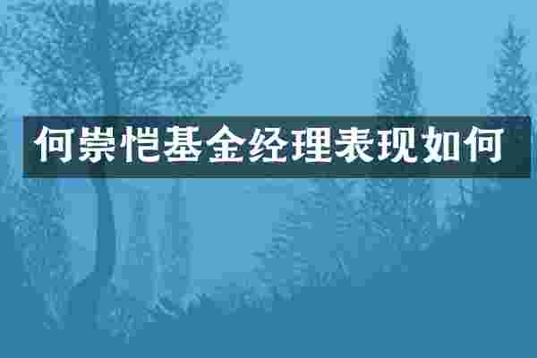 何崇恺基金经理表现如何