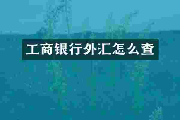 工商银行外汇怎么查