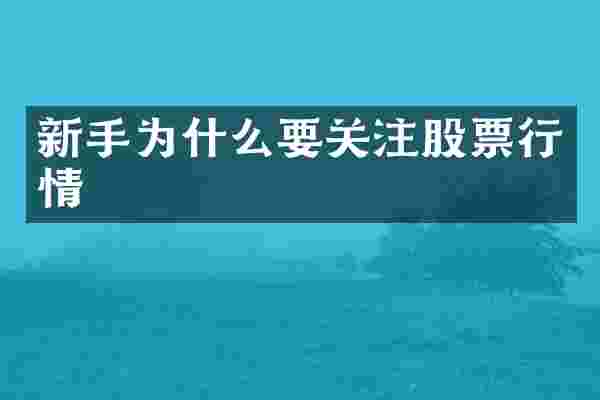 新手为什么要关注股票行情