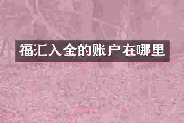 福汇入金的账户在哪里
