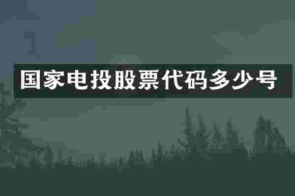 国家电投股票代码多少号